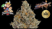 DUBBLE BUBBLE (Pound Cake Farms)