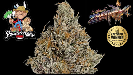 DUBBLE BUBBLE (Pound Cake Farms)