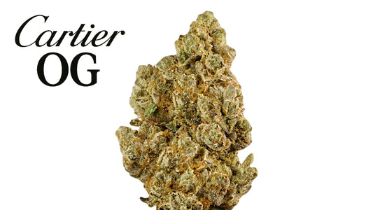 CARTIER OG