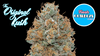 THE ORIGINAL KUSH OG (ind)