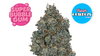 SUPER BUBBLEGUM (hyb)