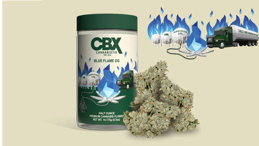 BLUE FLAME OG (hyb) Half oz Jar | Wow La Weed Delivery