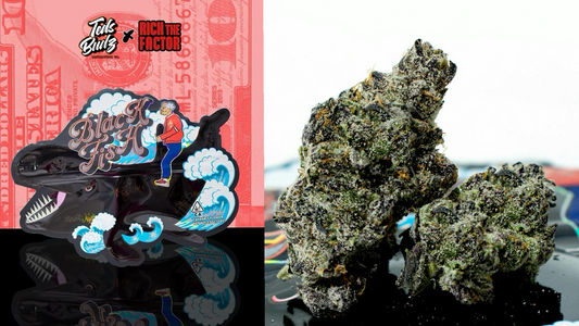 BLACK FISH (Teds Budz) | Wow La Weed Delivery