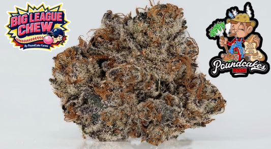 BIG LEAGUE CHEW (hyb) | Wow La Weed Delivery
