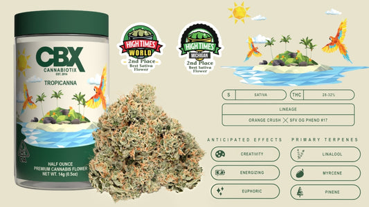 TROPICANNA (sat) Half oz Jar