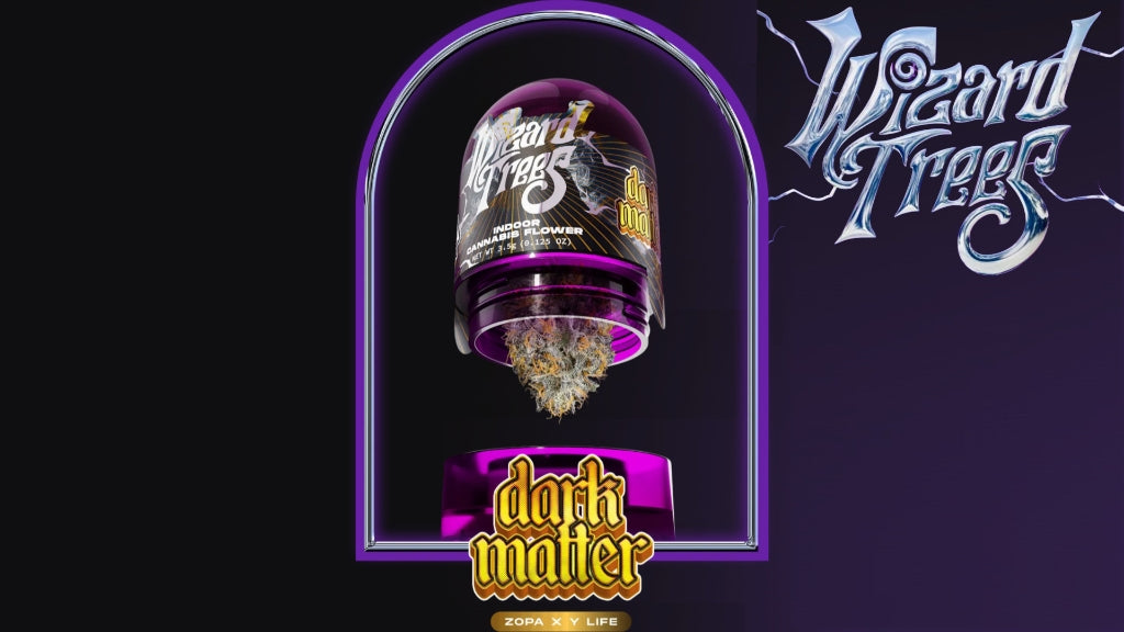 DARK MATTER