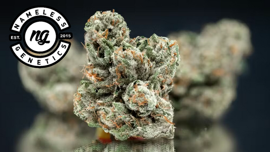 MEGA-WELLNESS OG (ind)