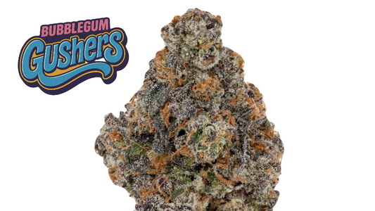 BUBBLE GUM GUSHERS (hyb) | Wow La Weed Delivery