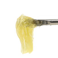 Cake Crasher (Persy Rosin)