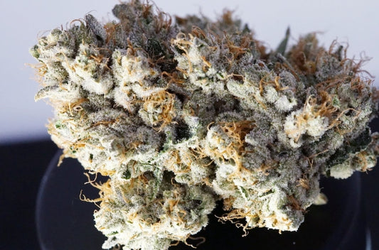 KUSH CO. OG (ind)