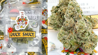 DUCK SAUCE
