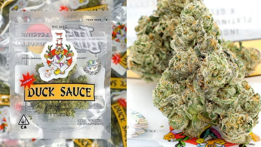DUCK SAUCE