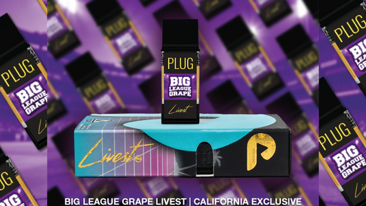 BIG LEAGUE GRAPE (Livest) Live Resin