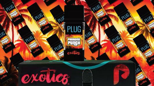 PARADISE PUNCH (exotics)