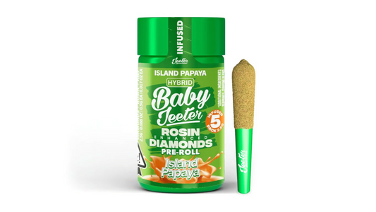 Jeeters Island Papaya (hyb)