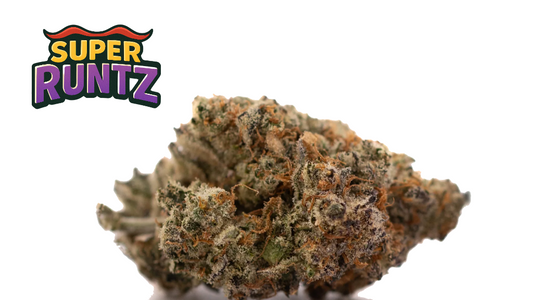 SUPER RUNTZ (hyb)