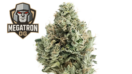 MEGATRON OG (ind)
