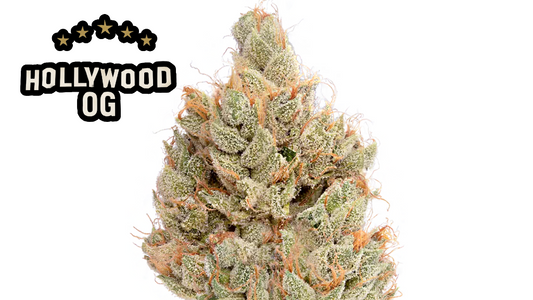 HOLLYWOOD OG (ind)